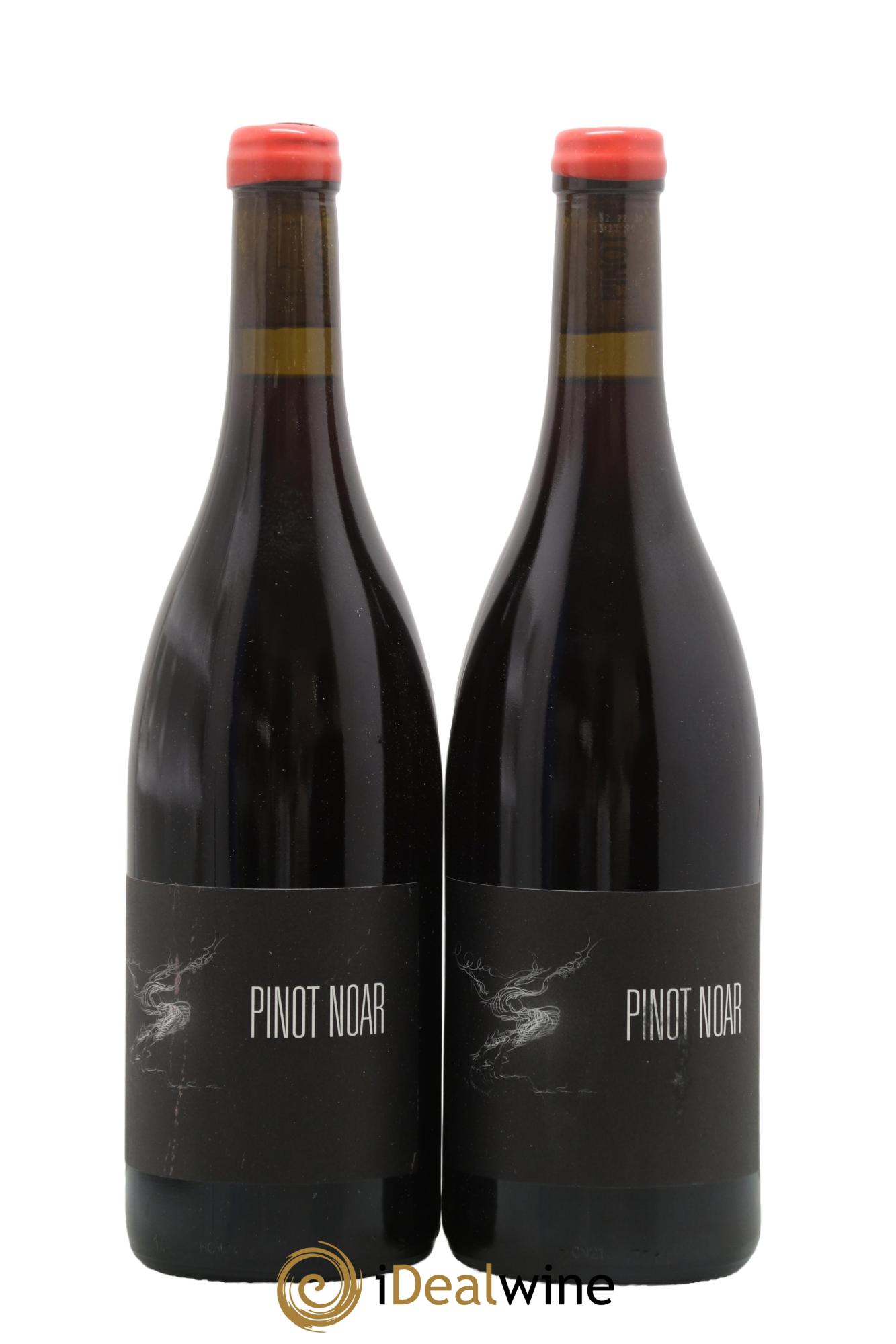 Hautes-Côtes de Nuits Pinot Noar Arnaud Lopez 2021 - Lot of 2 bottles - 0