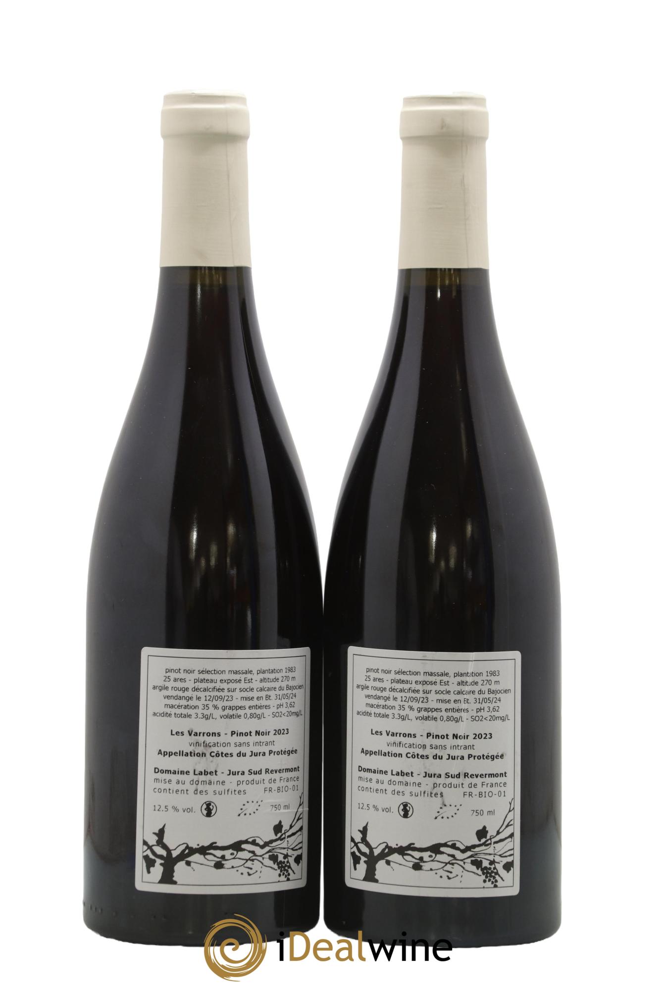 Côtes du Jura Pinot Noir Les Varrons Sélection Massale Romain - Julien - Charline Labet 2023 - Lot de 2 bouteilles - 1