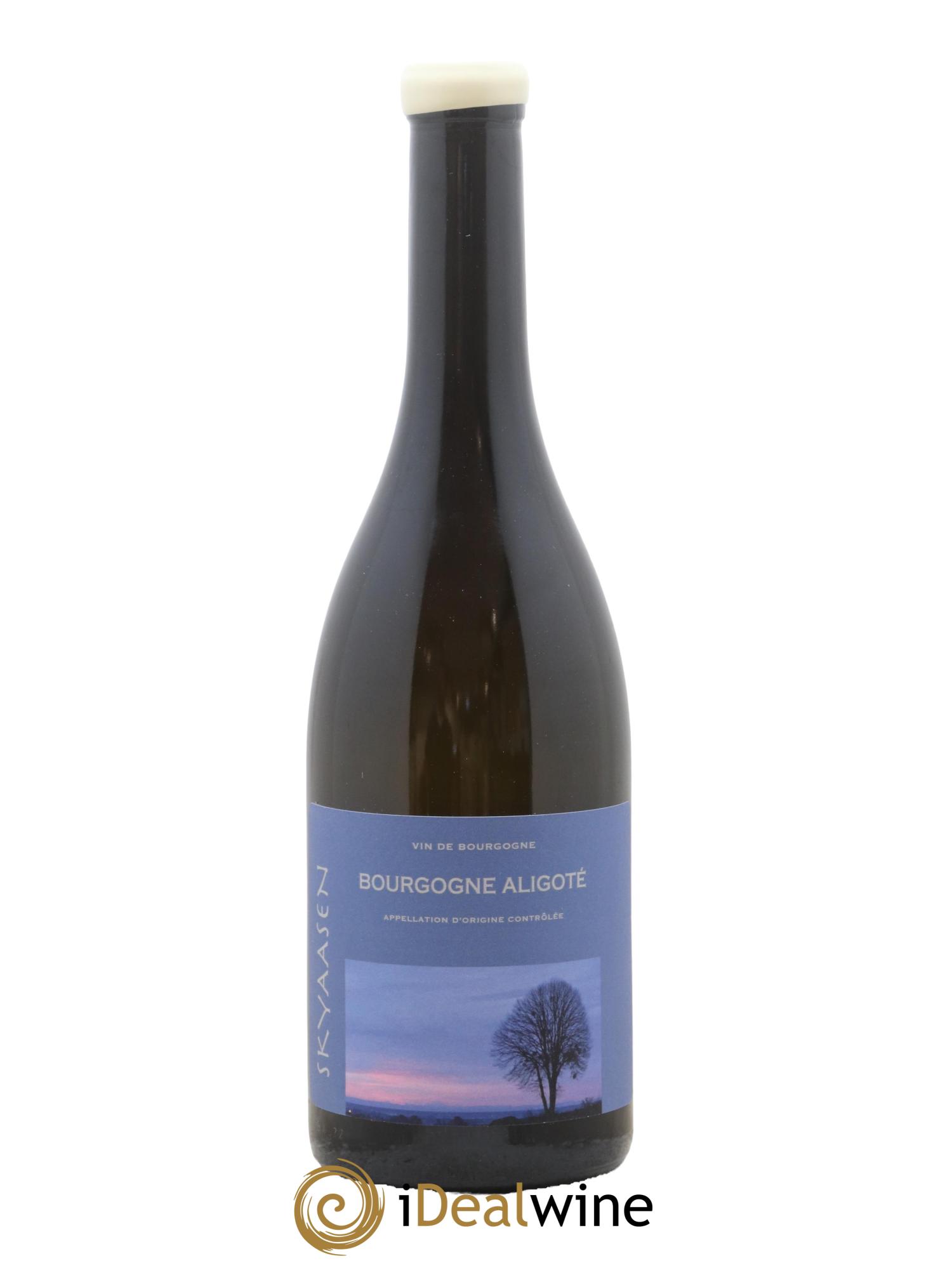Bourgogne Aligoté Maison Skyaasen 2022 - Lot de 1 bouteille - 0