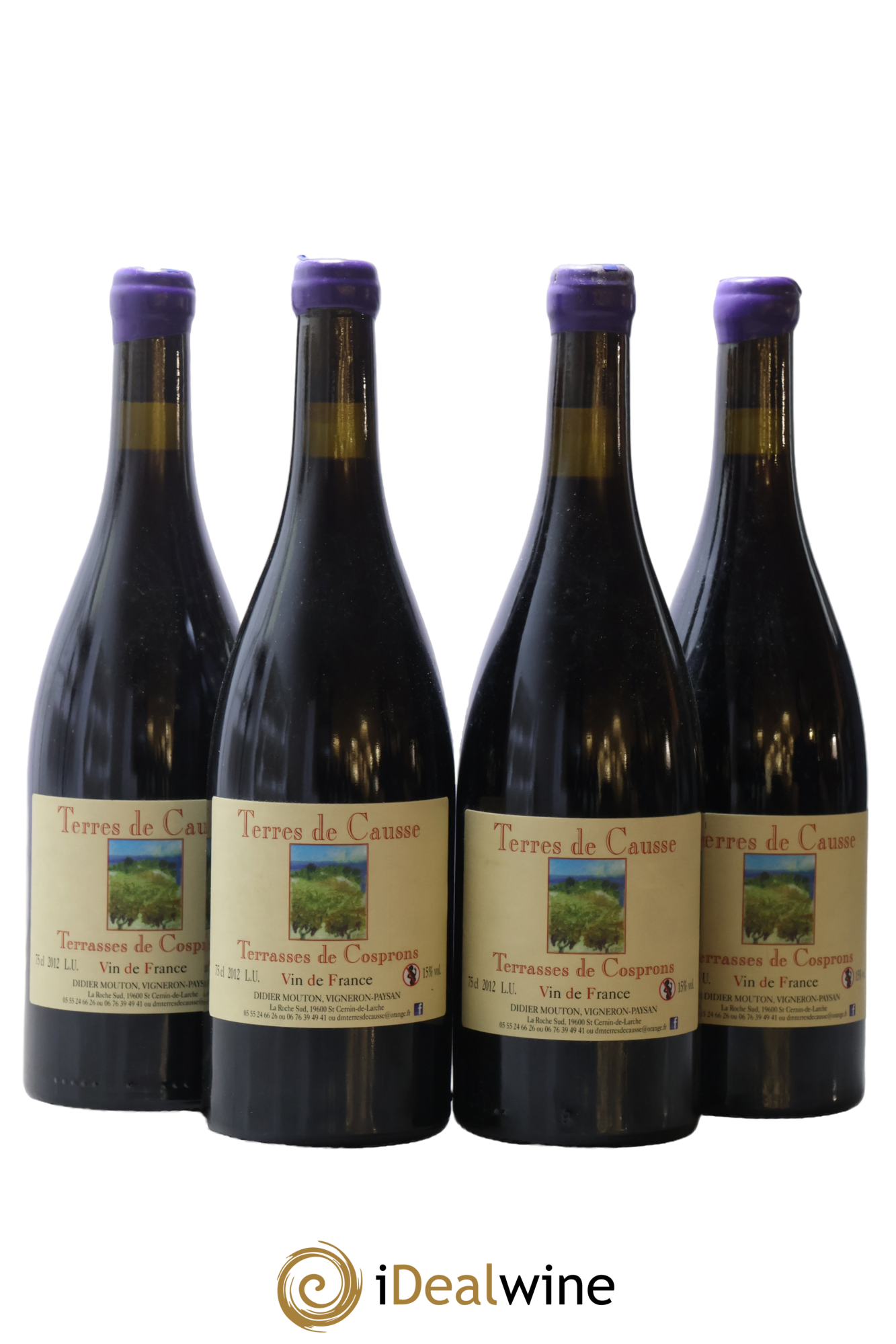 Vin de France Terre de Causse Terrrasses de Cosprons Tramontane Didier Mouton 2012 - Lot of 4 bottles - 0