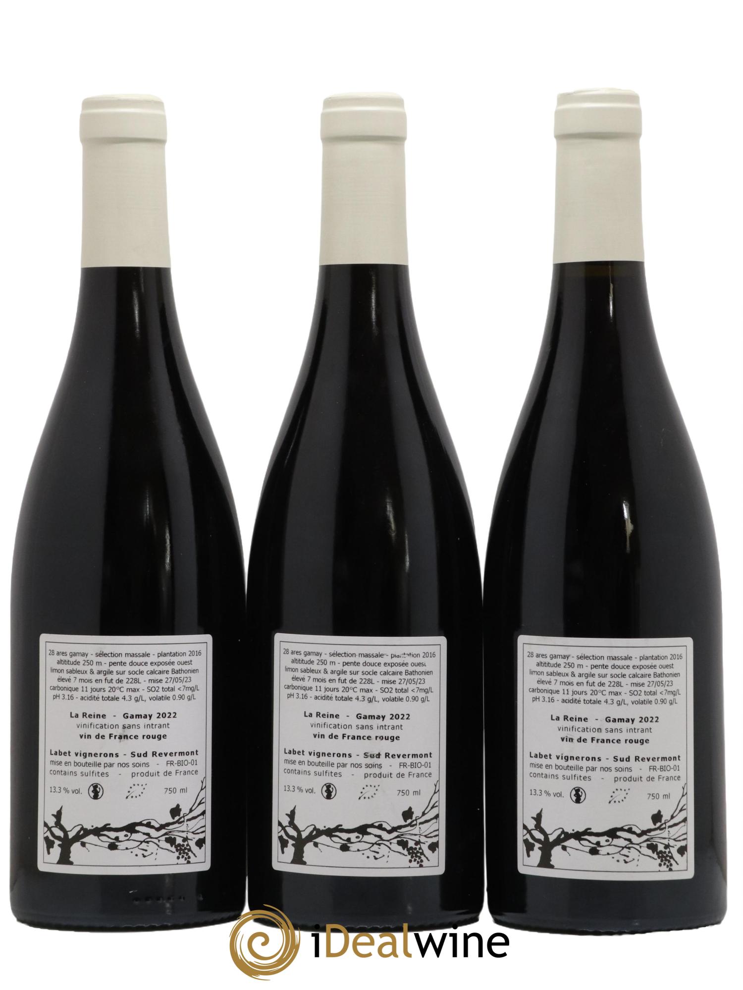 Vin de France Gamay La Reine Labet (Domaine) 2022 - Lot de 3 bouteilles - 1
