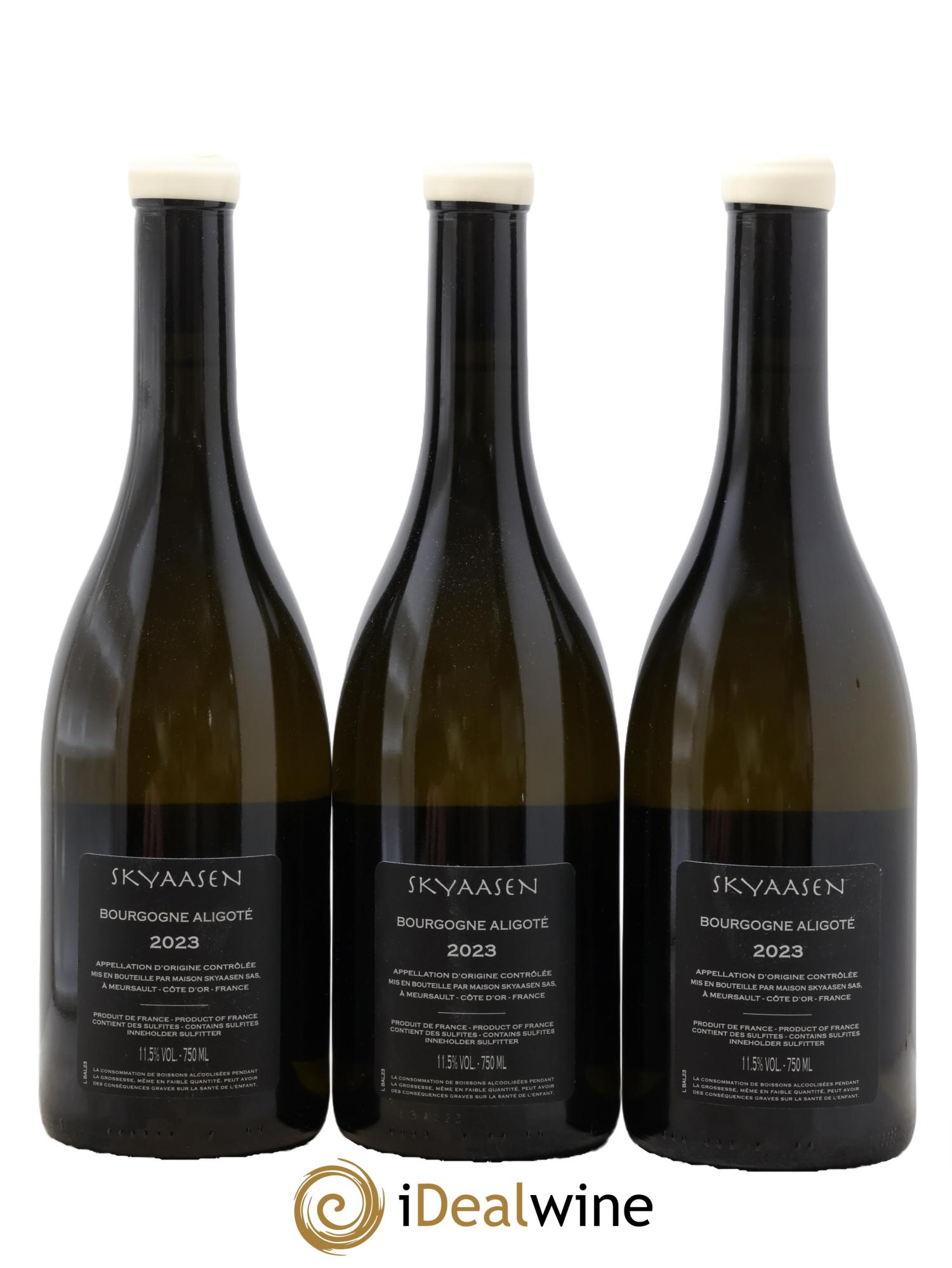 Bourgogne Aligoté Maison Skyaasen 2023 - Posten von 3 Flaschen - 1