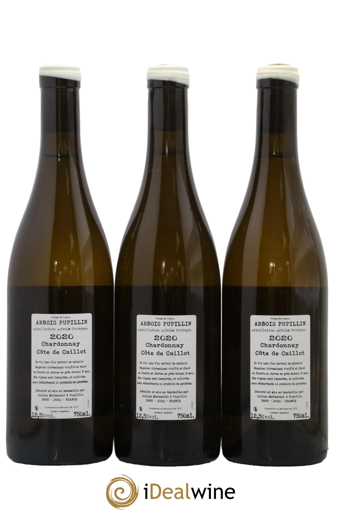 Arbois-Pupillin Chardonnay Côte de Caillot Domaine de la Borde 2020 - Lot of 3 bottles - 1