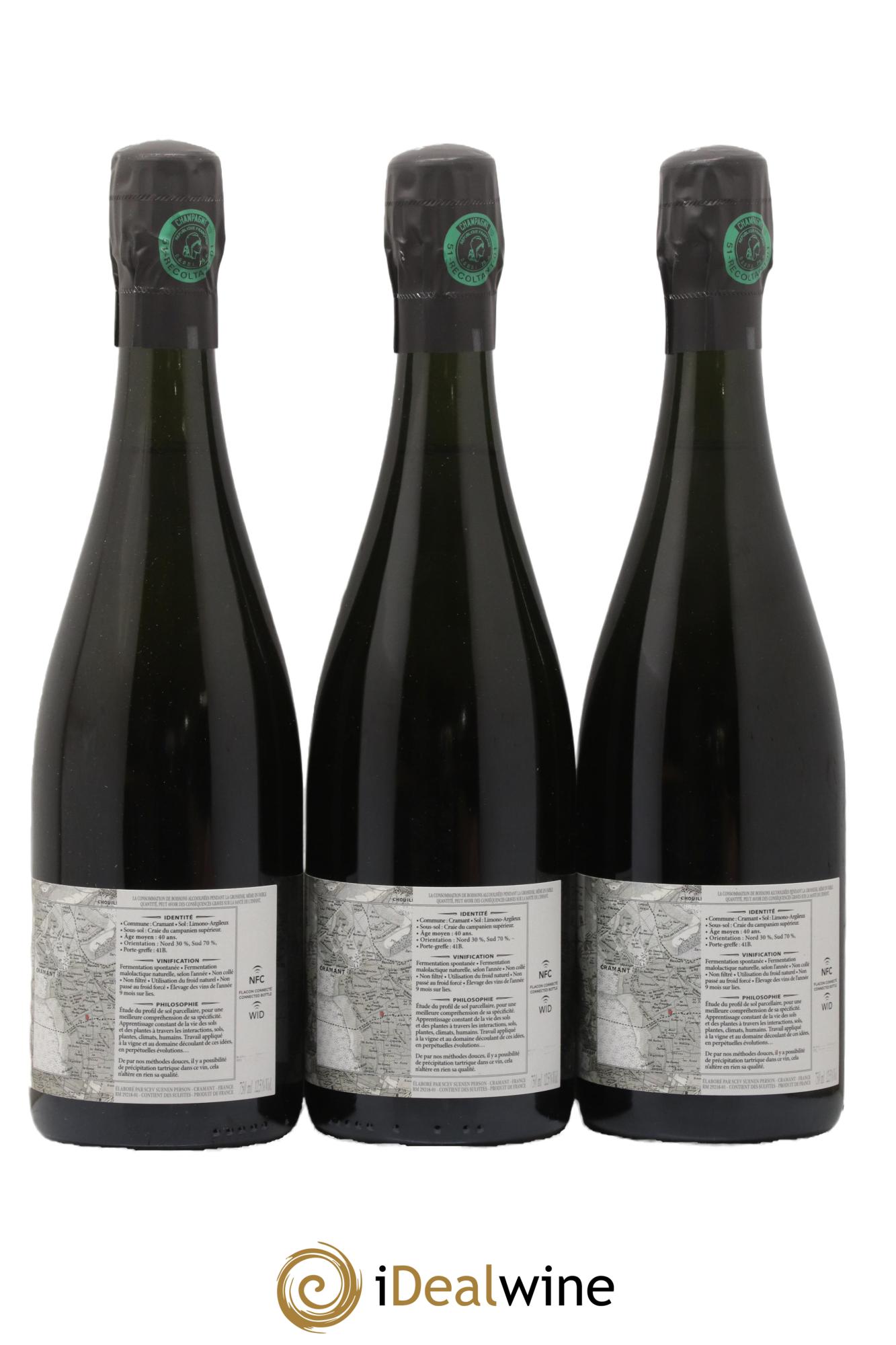 Les Robarts Blanc de Blancs Extra-Brut Suenen 2016 - Lot de 3 bouteilles - 1