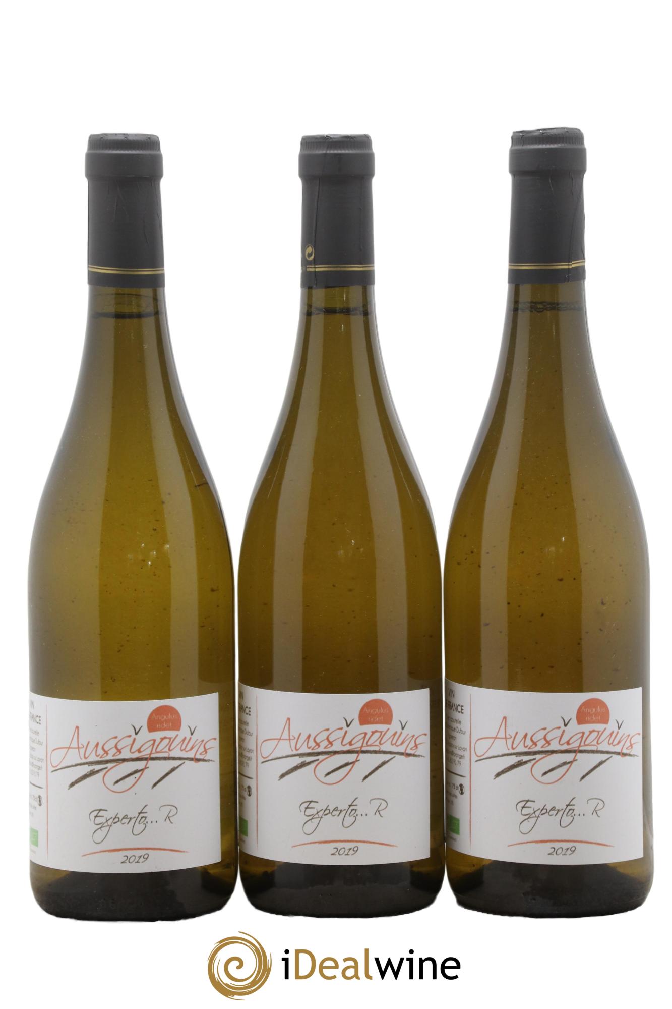 Vin de France Experto R Les Aussigouins Dominique Dufour 2019 - Lot de 3 bouteilles - 0