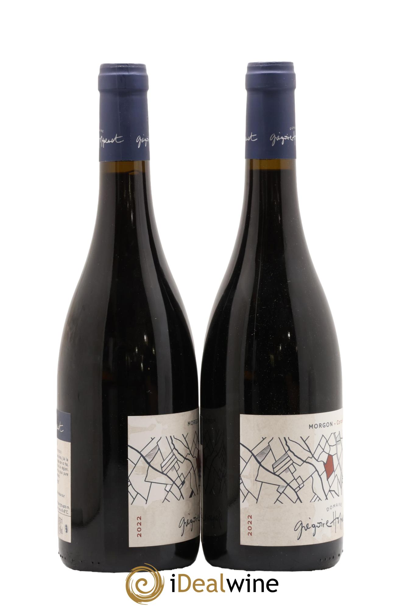 Morgon Corcelette Grégoire Hoppenot (Domaine) 2022 - Lot of 2 bottles - 1