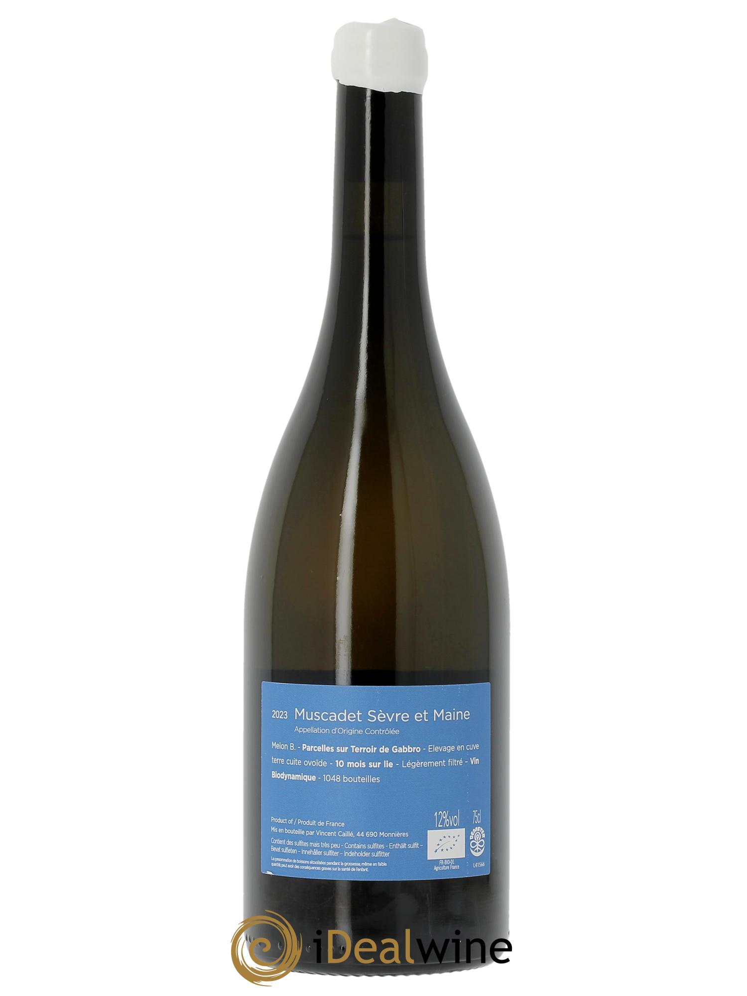 Muscadet-Sèvre-et-Maine Terre de Gabbro Le Fay d'Homme  2023 - Lotto di 1 bottiglia - 1