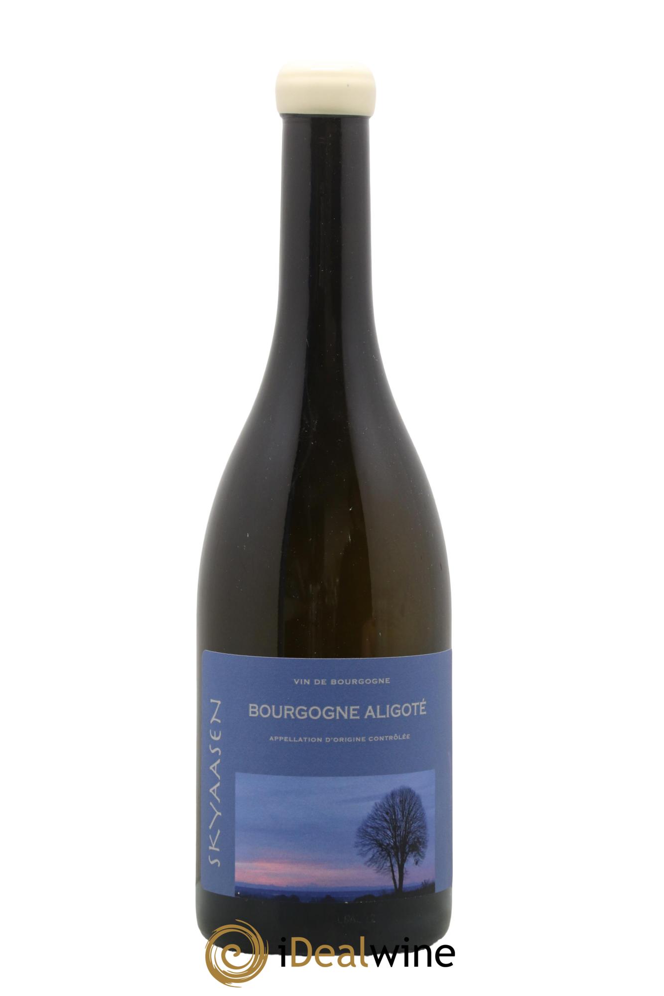 Bourgogne Aligoté Maison Skyaasen 2022 - Lot de 1 bouteille - 0