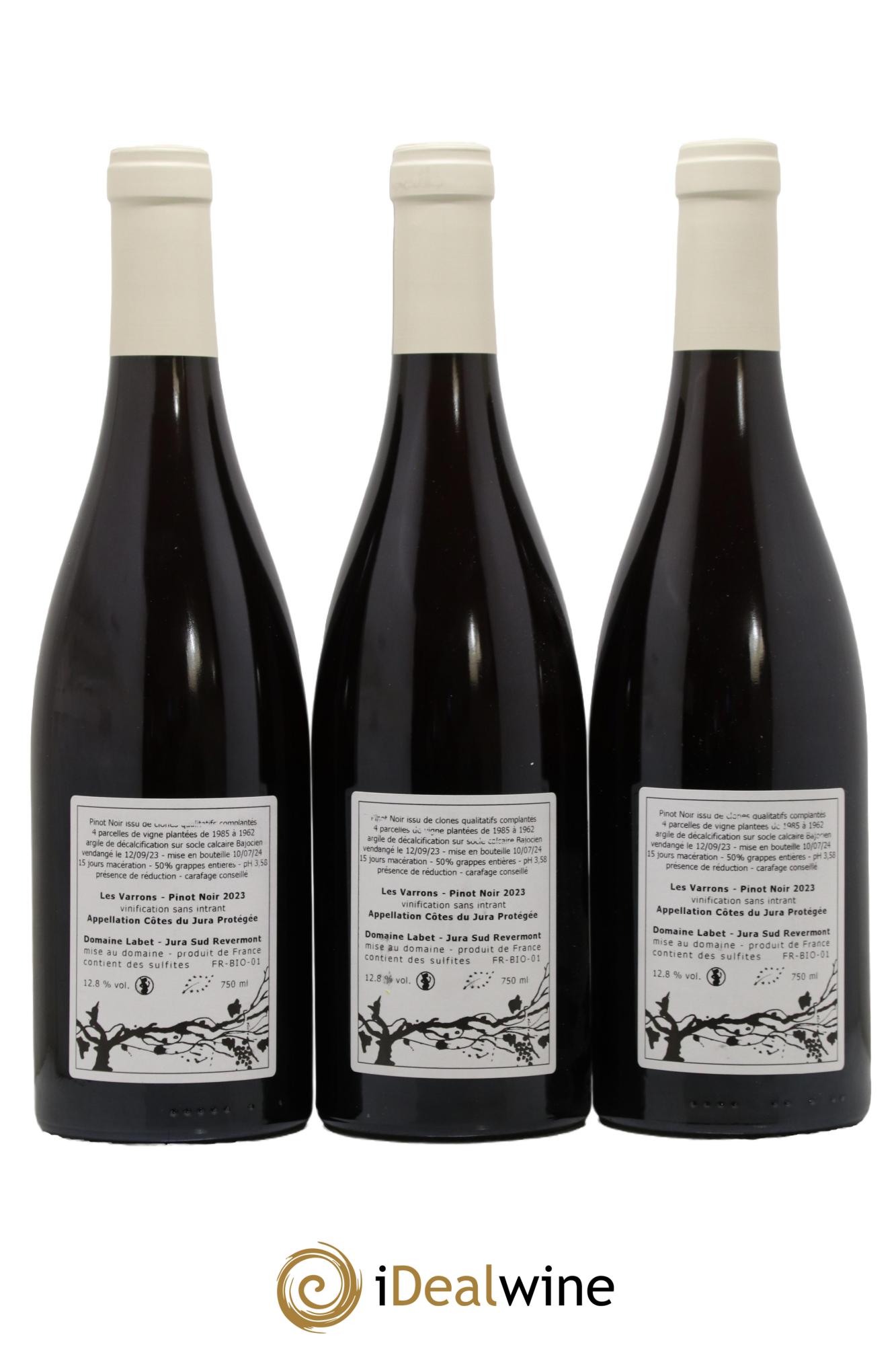 Côtes du Jura Pinot Noir Les Varrons Sélection Massale Romain - Julien  - Charline Labet 2023 - Lotto di 3 bottiglie - 1