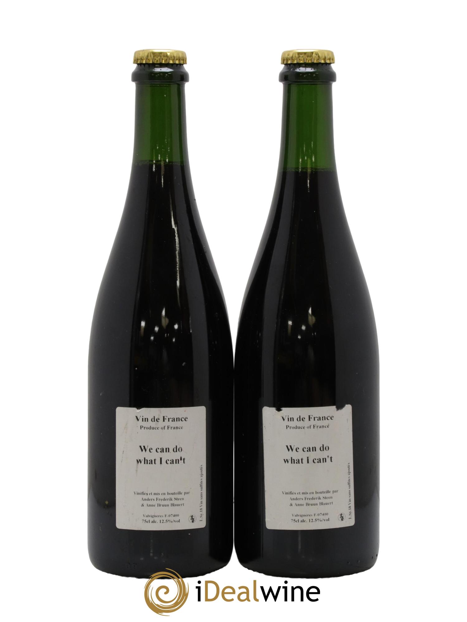 Vin de France We Can Do What I Can't Anders Frederik Steen 2018 - Lot de 2 bouteilles - 0