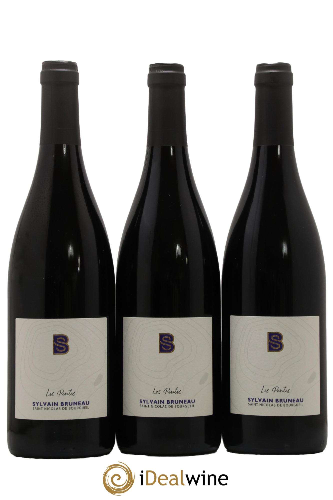 Saint-Nicolas de Bourgueil Domaine Sylvain Bruneau Les Pentes 2022 - Lot de 3 bouteilles - 0