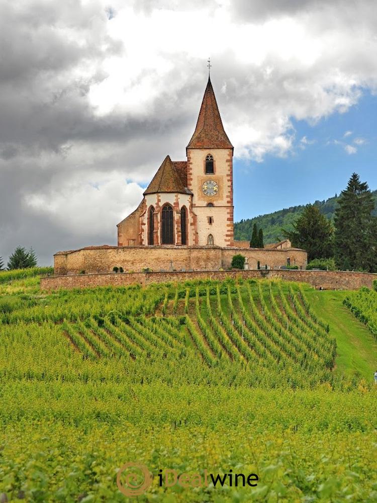 Masterclass iDealwine & Trimbach Al Mu Dimsum Milano (Sabato 24 Gennaio 2026) - Lot of 1 bottle - 4