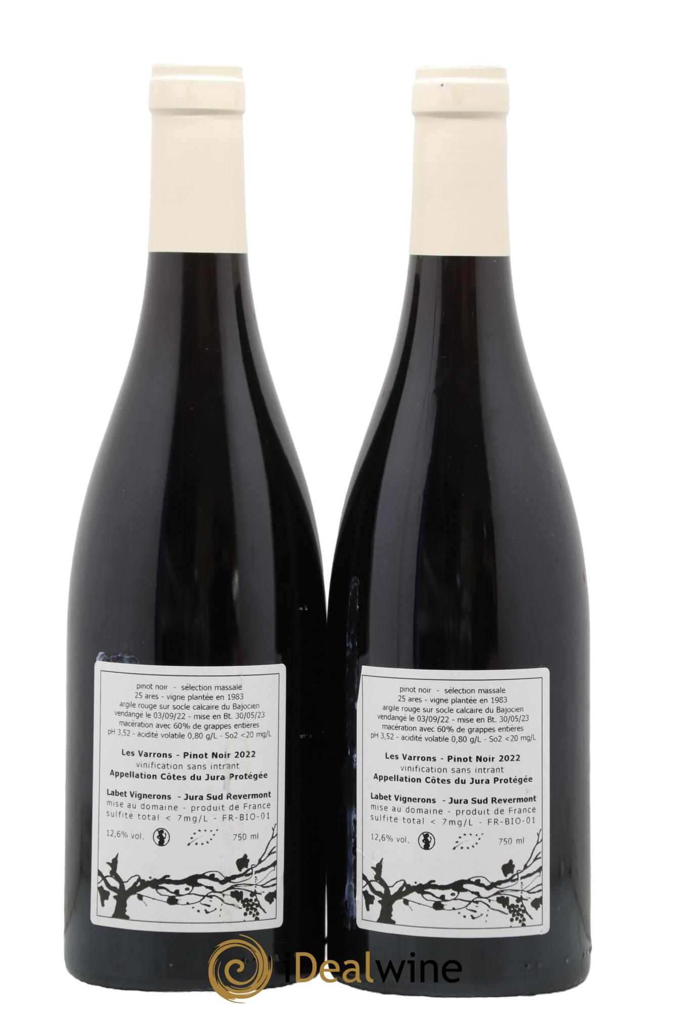Côtes du Jura Pinot Noir Les Varrons Sélection Massale Domaine Labet 2022 - Lot de 2 bouteilles - 1