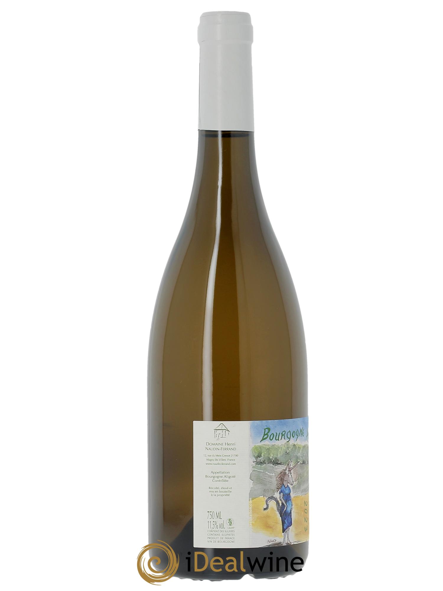 Bourgogne Aligoté Mallon Naudin-Ferrand (Domaine) 2023 - Lot of 1 bottle - 1