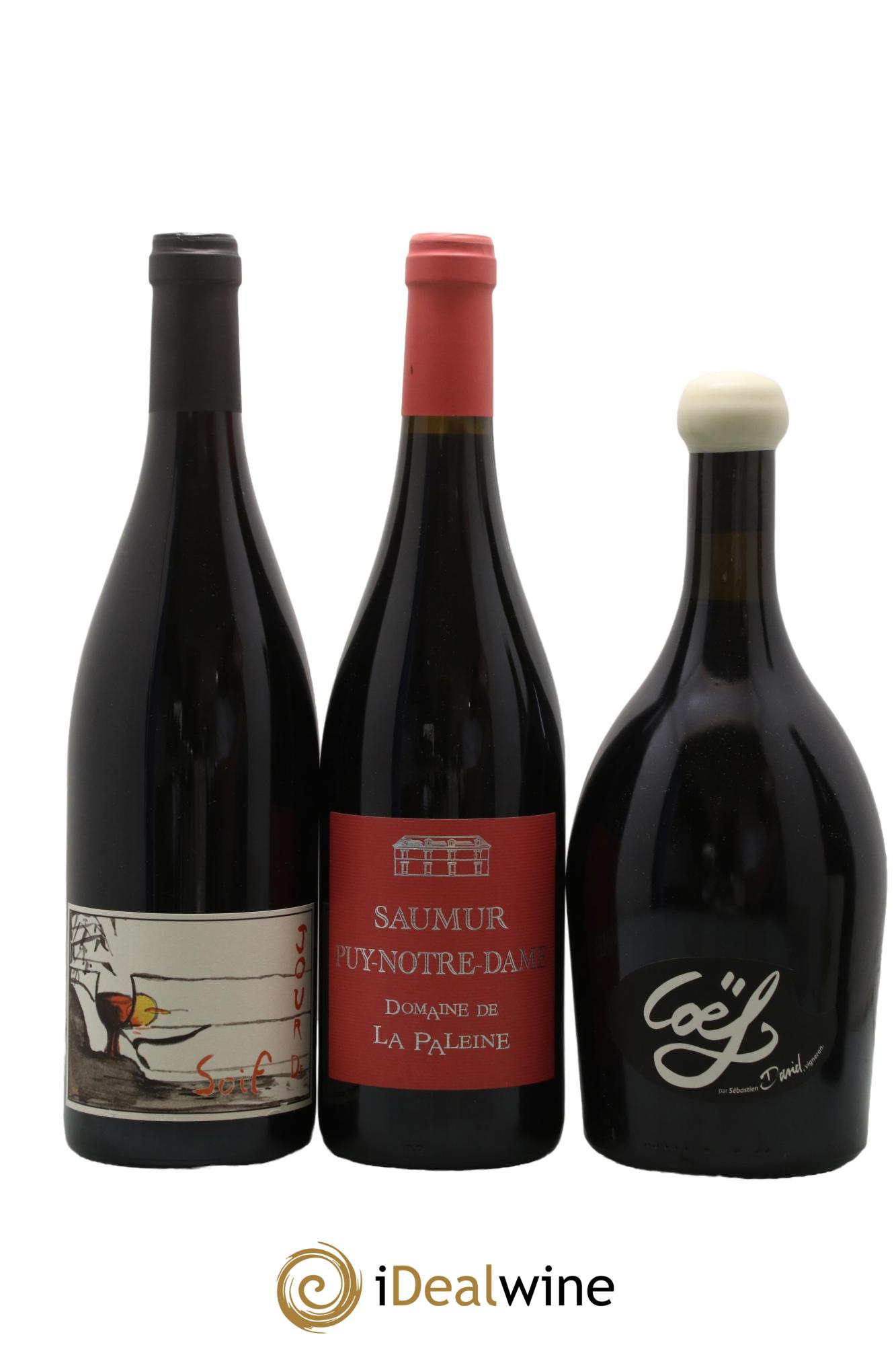 Assortiment de vins d'Anjou noir - Saumur - Bourgueil N°5 - Lot of 6 bottles - 2