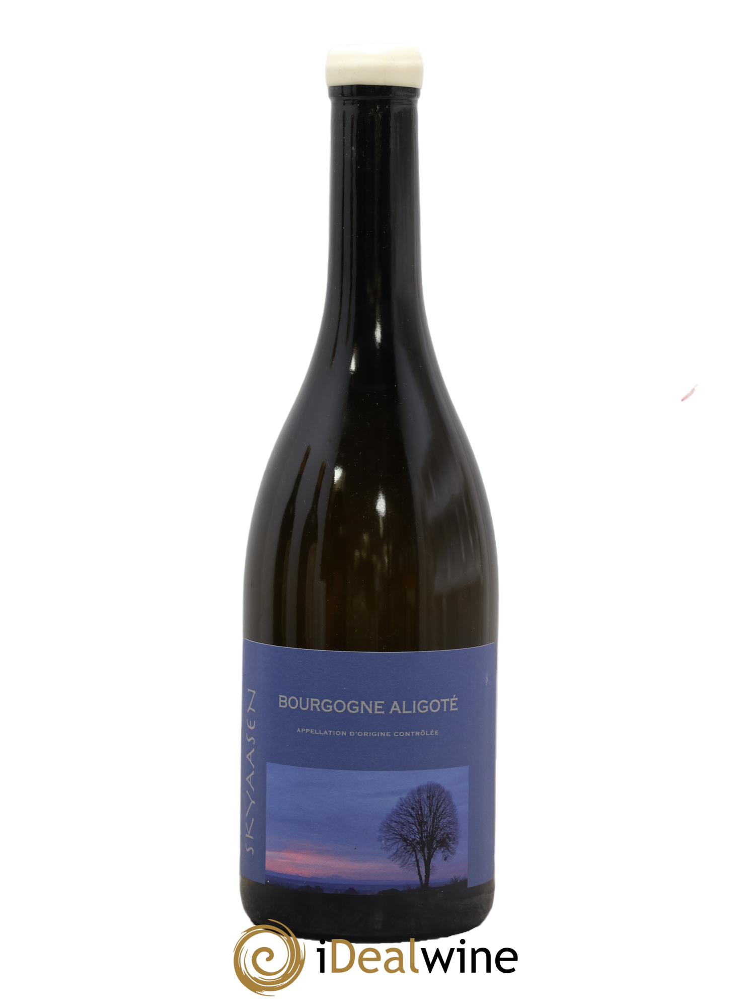 Bourgogne Aligoté Maison Skyaasen 2024 - Lot de 1 bouteille - 0