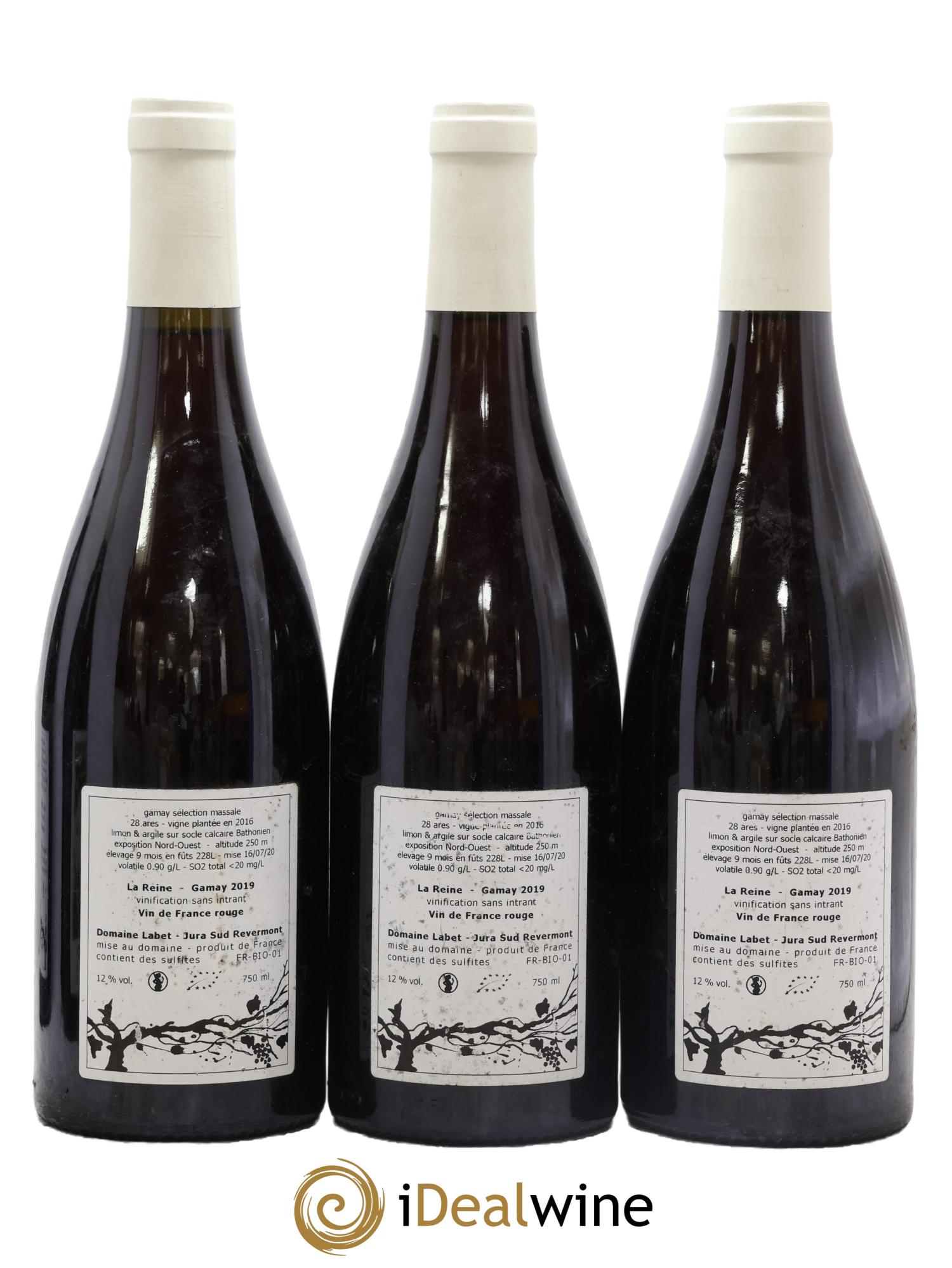 Vin de France Gamay La Reine Labet (Domaine) 2019 - Lot de 3 bouteilles - 1