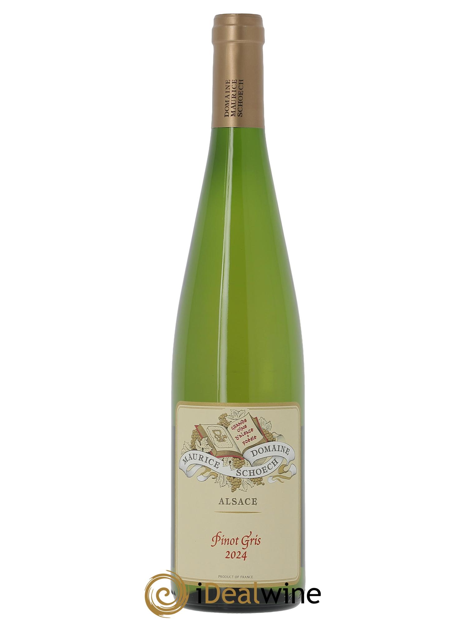 Alsace Pinot Gris Maurice Schoech (Domaine) 2024 - Posten von 1 Flasche - 0