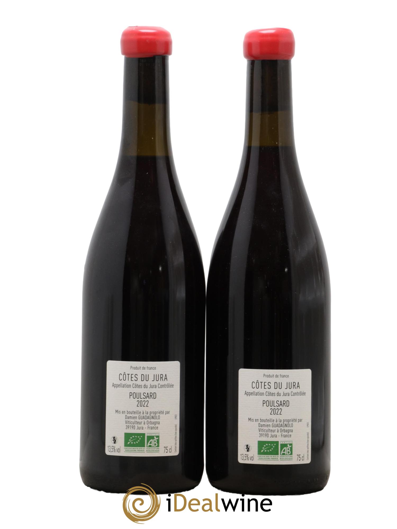Côtes du Jura Poulsard Domaine Damien Guadagnolo 2022 - Lot de 2 bouteilles - 1