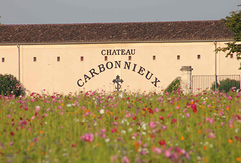 Château Carbonnieux-4