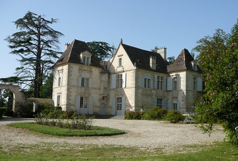 Château Falfas 525