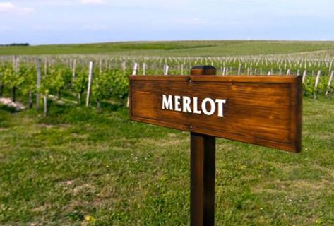 Château La Tour Carnet 914