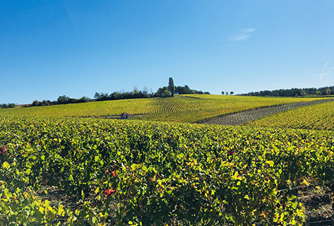 Fleury Père & Fils 2320