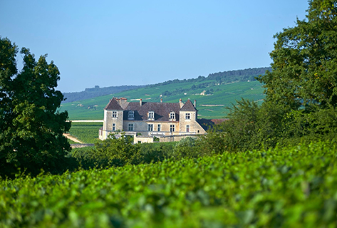 Joseph Drouhin (domaine) 1491