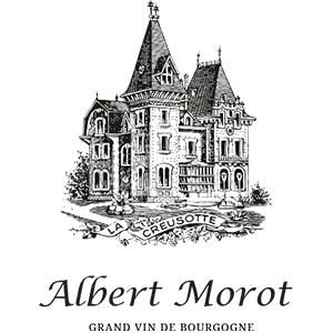 Albert Morot