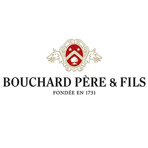 Bouchard Père & Fils (domaine)