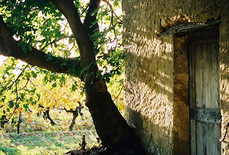 Mas Cal Demoura 5559