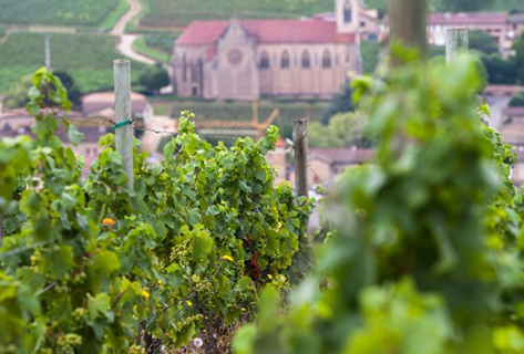 Robert Denogent 1571