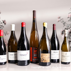 The 7 wonders of the (wine) world and Vendanges Solidaires charity auction