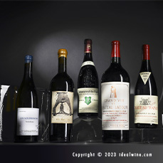 Private Collection | Natural and mature wines as well as large formats