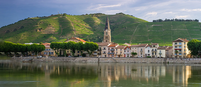 The Rhône's finest appellations